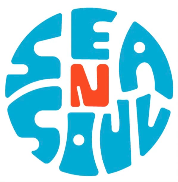Sea N Soul Surf School
